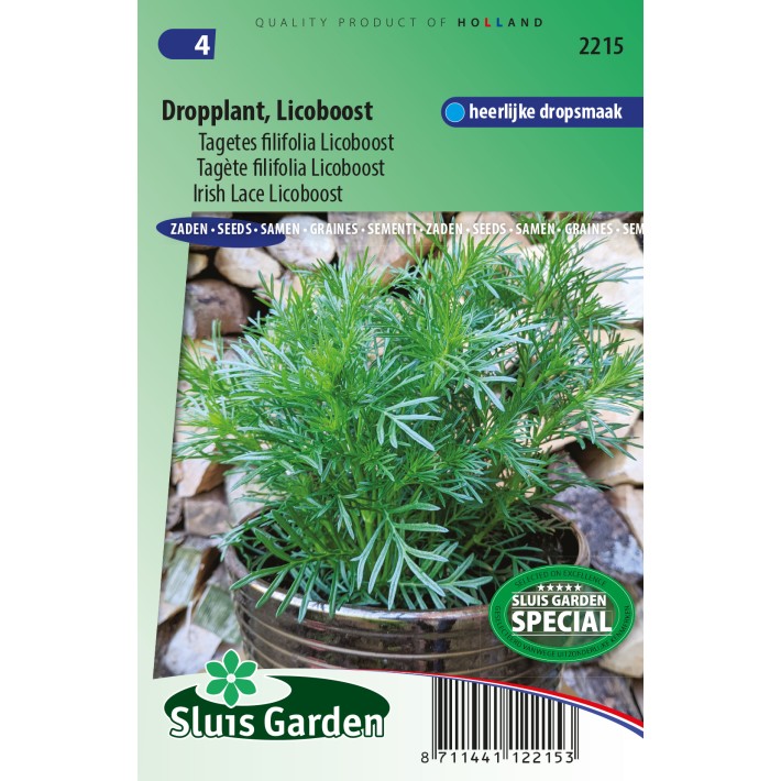 Tagetes filifolia Licoboost