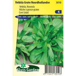 Veldsla Grote Noordhollandse Veldsla Grote Noordhollandse