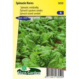 Spinazie Nores Spinazie Nores