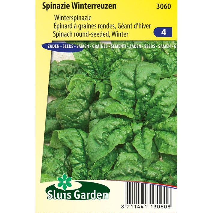 Spinach Winterreuzen (Autumn/winter crop)
