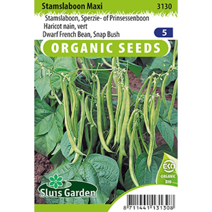 Dwarf French Bean Snap Bush