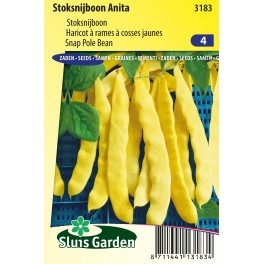 Hollandse Stoksnijboon Anita