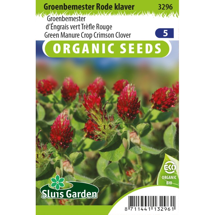 Green Manure Crop Red Clover