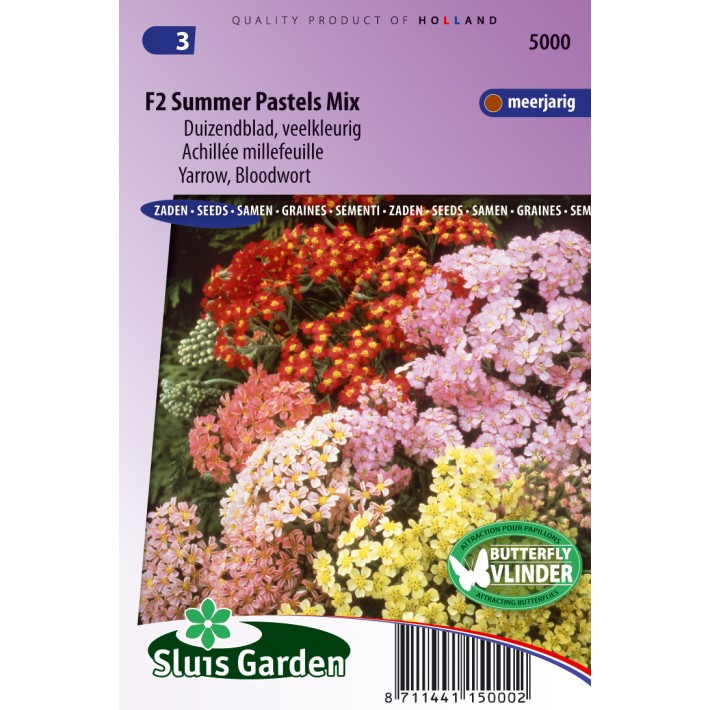 Duizendblad Summer Pastels F2 mix (Achillea)