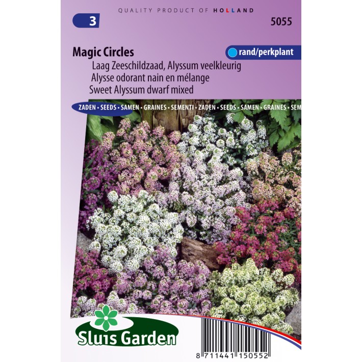 Alyssum, Sweet Alison Magic Circles dwarf mix