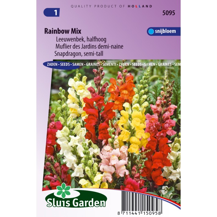Snapdragon Rainbow mix (semi-tall)