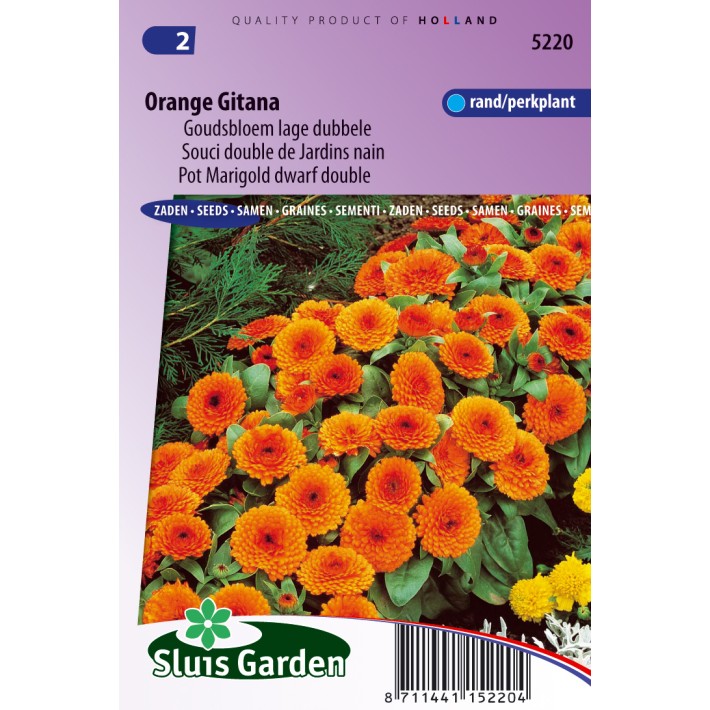 Pot Marigold Orange Gitana dwarf double