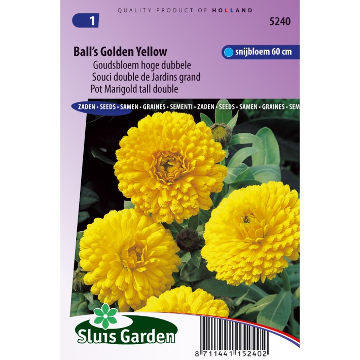 Pot Marigold Ball's Golden Yellow tall double