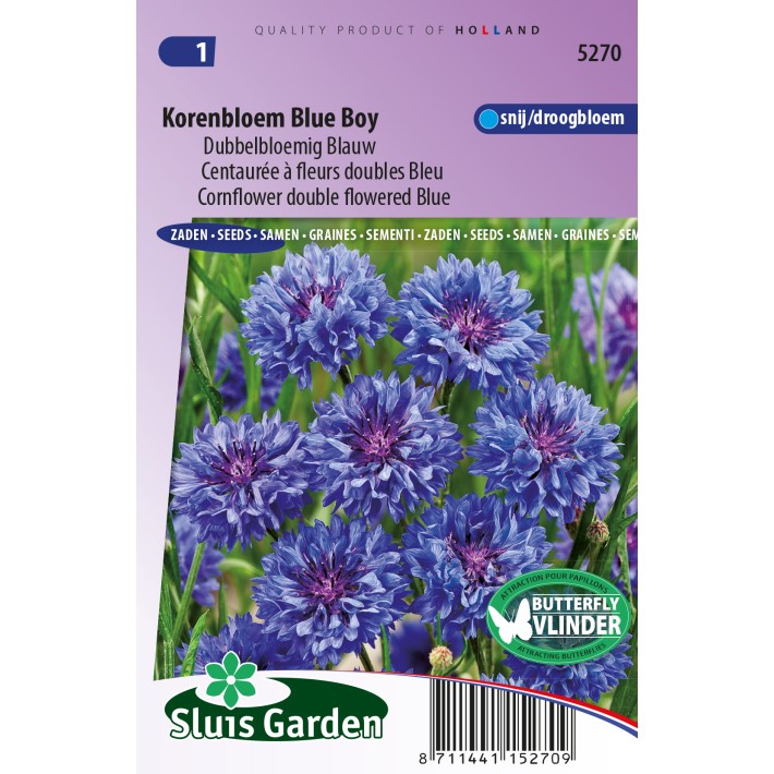 Cornflower Blue Boy double flowered