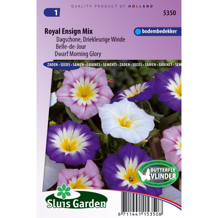 Dagschone, Driekleurige Winde Royal Ensign mix