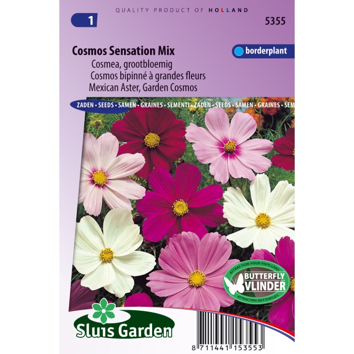 Mexican Aster, Garden Cosmos Sensation Mix
