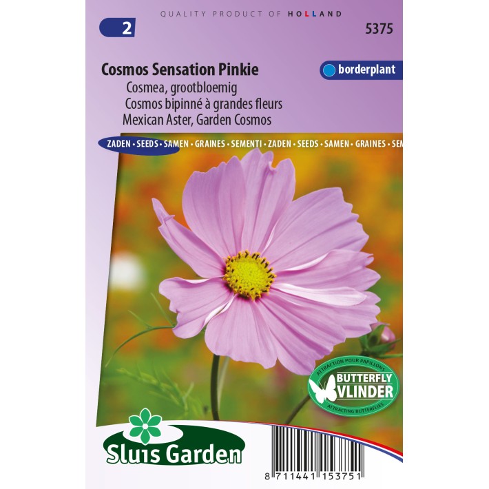 Mexican Aster, Garden Cosmos Sensation Pinkie