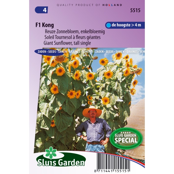 Zonnebloem F1 Kong (Helianthus)