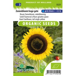 Zonnebloem hoge gele, enkelbloemig