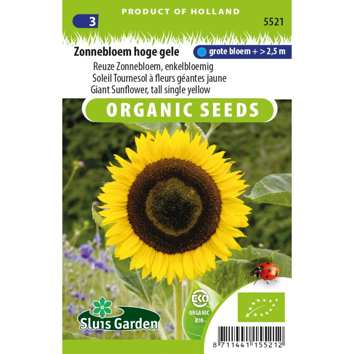 Zonnebloem hoge gele, enkelbloemig