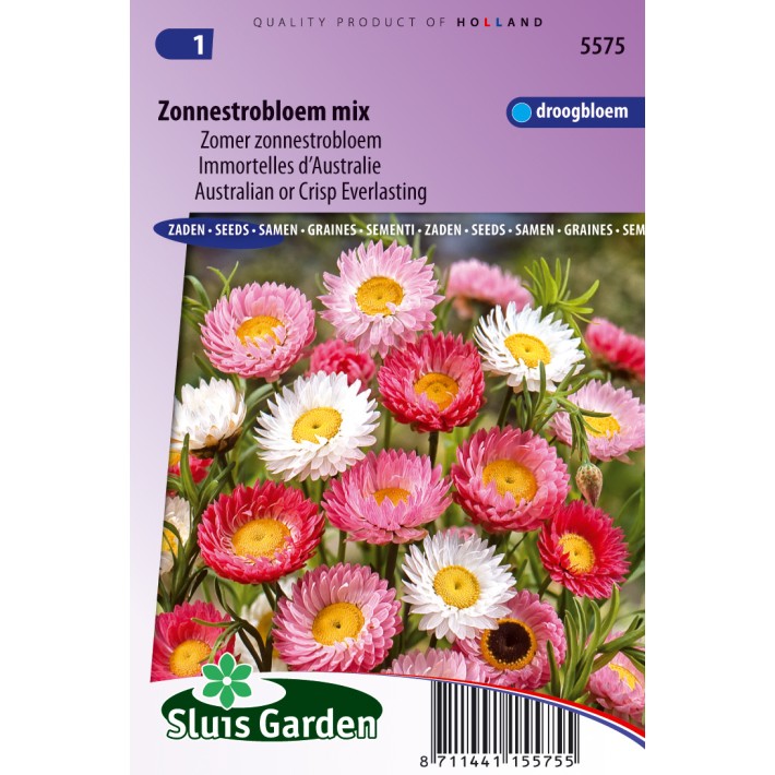 Zonnestrobloem gemengd (Helipterum/Acroclinium)