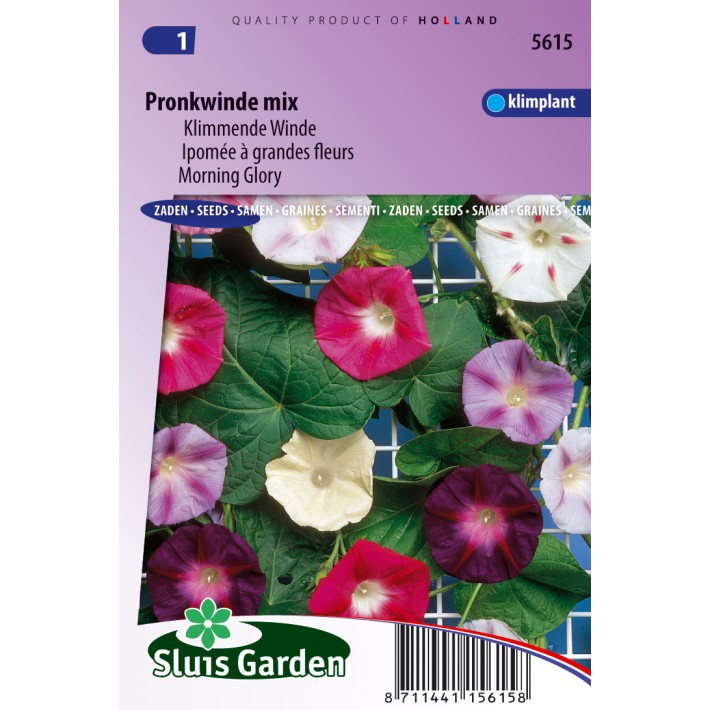 Klimmende Winde Choice Mixed (Ipomoea)
