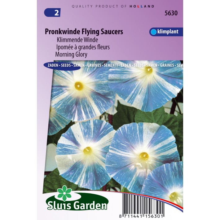 Klimmende Winde Flying Saucer (Ipomoea)