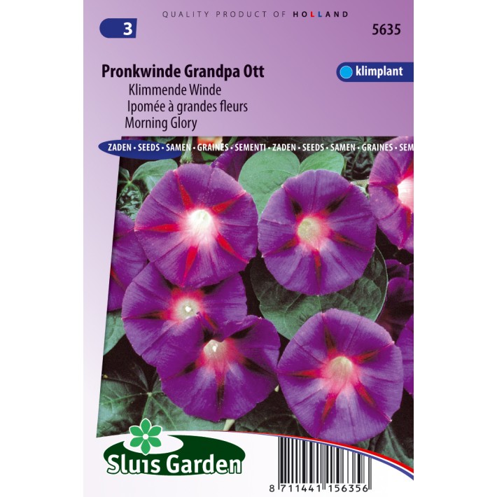 Klimmende Winde Grandpa Ott (Ipomoea)