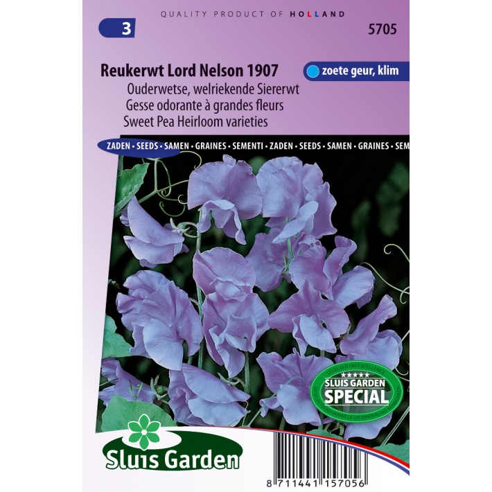 Sweet pea Lord Nelson 1907 (Heirloom variety)