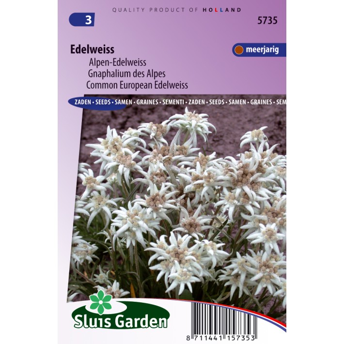 Alpen-Edelweiss