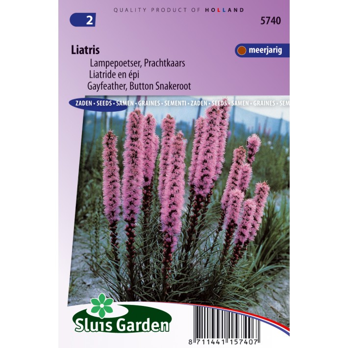 Lampepoetser Prachtkaars (Liatris)