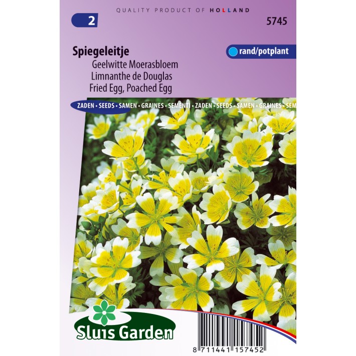 Spiegeleitje, Geelwitte Moerasbloem