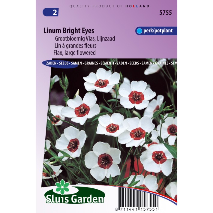 Vlas Bright Eyes (Linum)