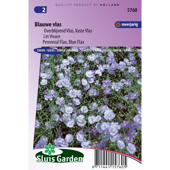 Vlas Blauw (Linum)