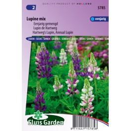 Lupine 1-jarig mix
