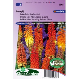 Fakkellelie Rood en Geel (Vuurpijl)