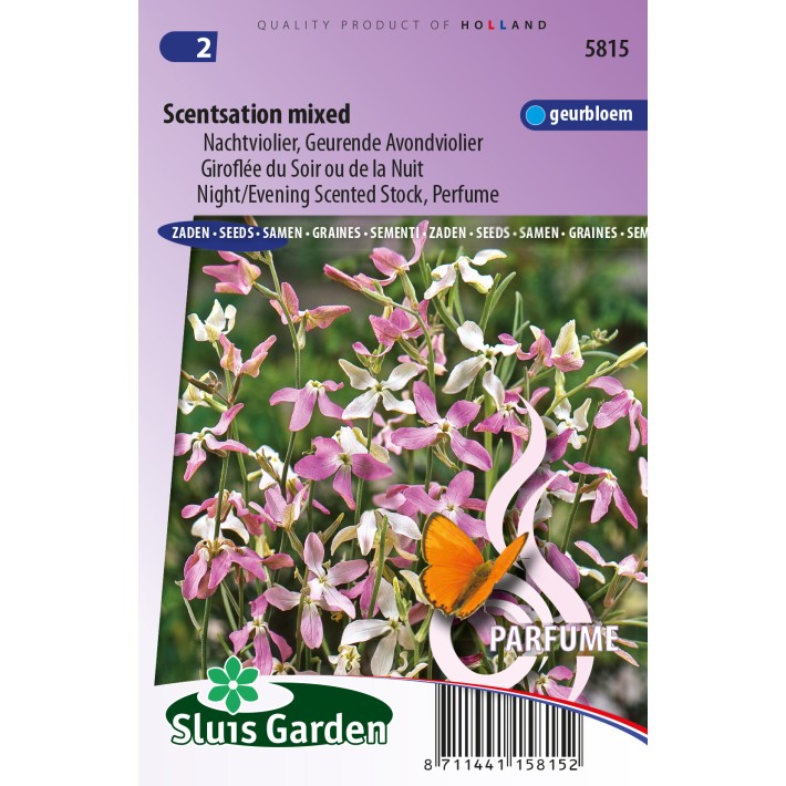 Avondviolier Scentsation Mix (Matthiola)