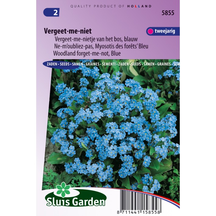 Forget-me-not (woodland) Indigo Blue