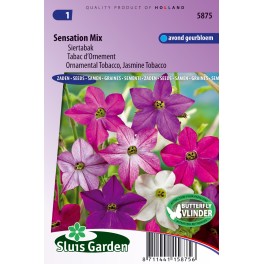 Siertabak Sensation mix (Nicotiana)