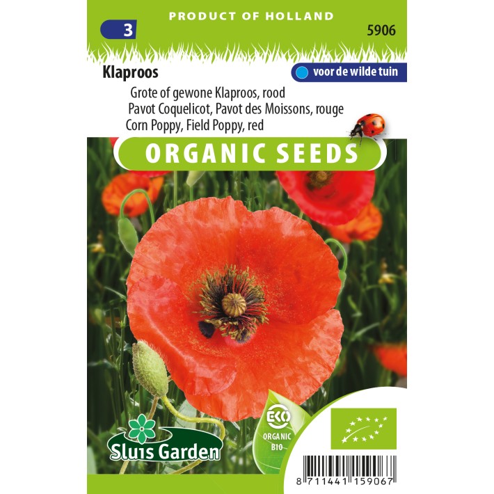 Poppy, Red Corn Poppy