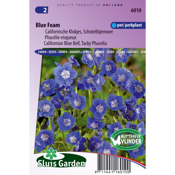 Droombijenvoer Blue Foam (Phacelia)