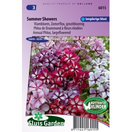 Vlambloem Summer Showers Mix (Phlox) Vlambloem Summer Showers Mix (Phlox)
