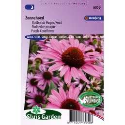 Zonnehoed purpurea (Echinacea)