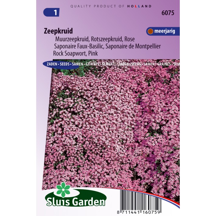 Zeepkruid Rose-Pink (Saponaria)