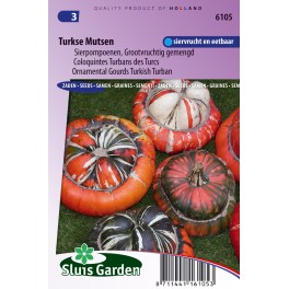 Cucurbita Turkse Muts Grote Vruchten