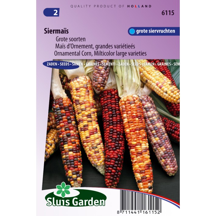 Ornamental Corn, Multicolor large varieties