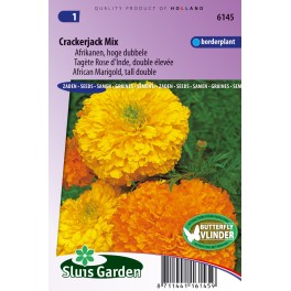 Afrikaan hoog Crackerjack Mix