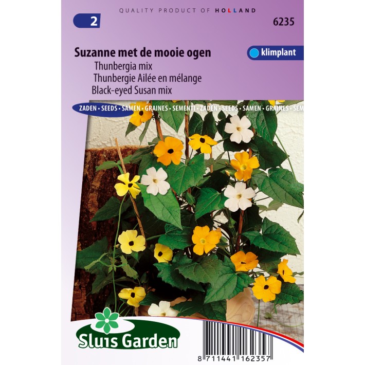 Black-eyed Susan Mix