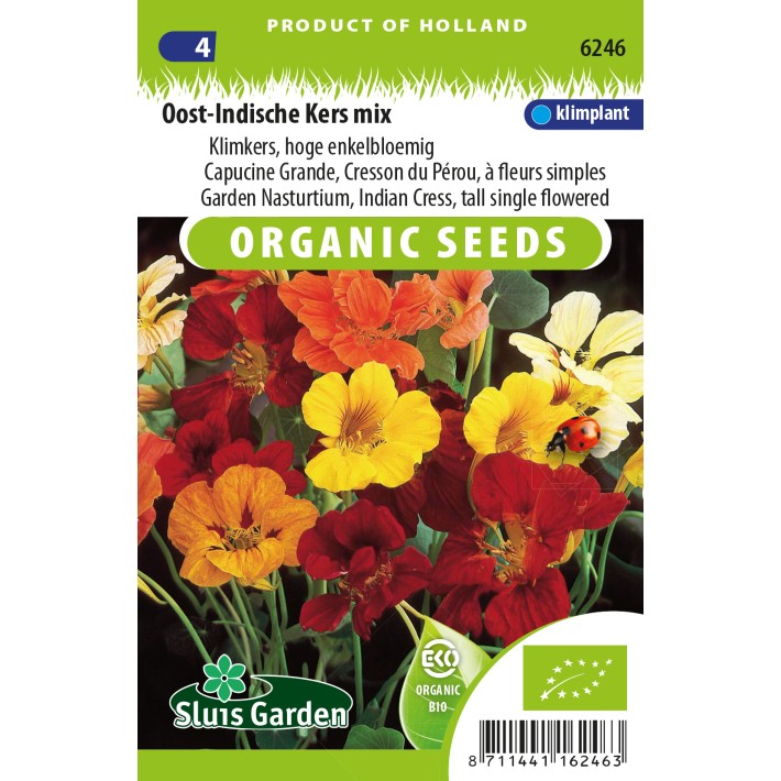 Nasturtium, Indian Cress tall single mix