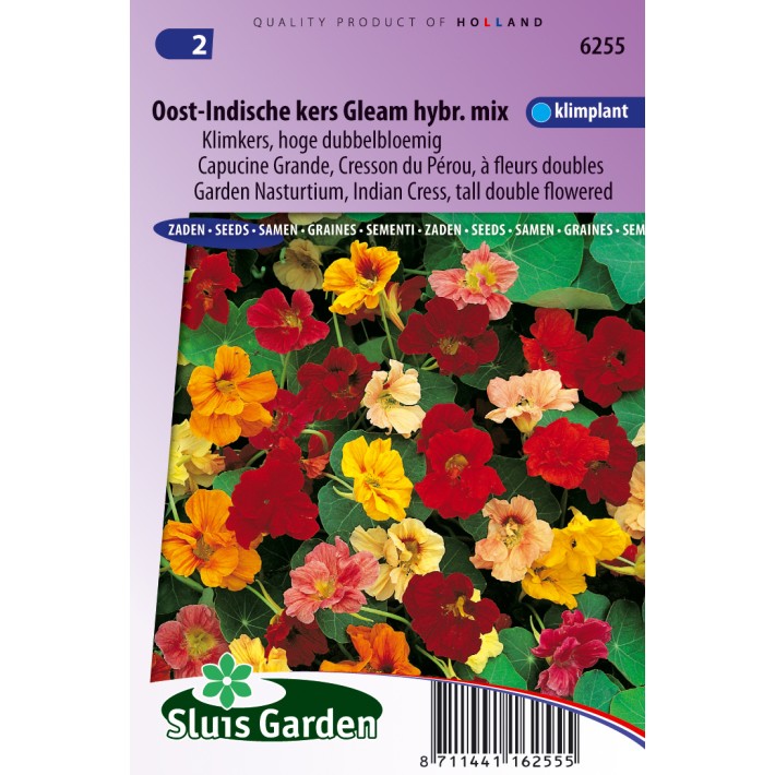 Nasturtium, Indian Cress  tall double Gleam Hybrids mix
