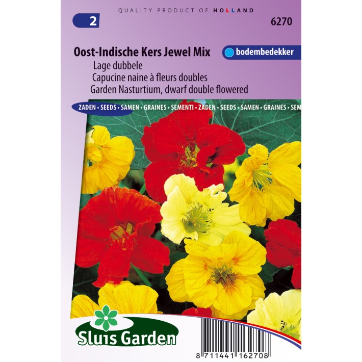 Nasturtium, Indian Cress dwarf double Jewel mix