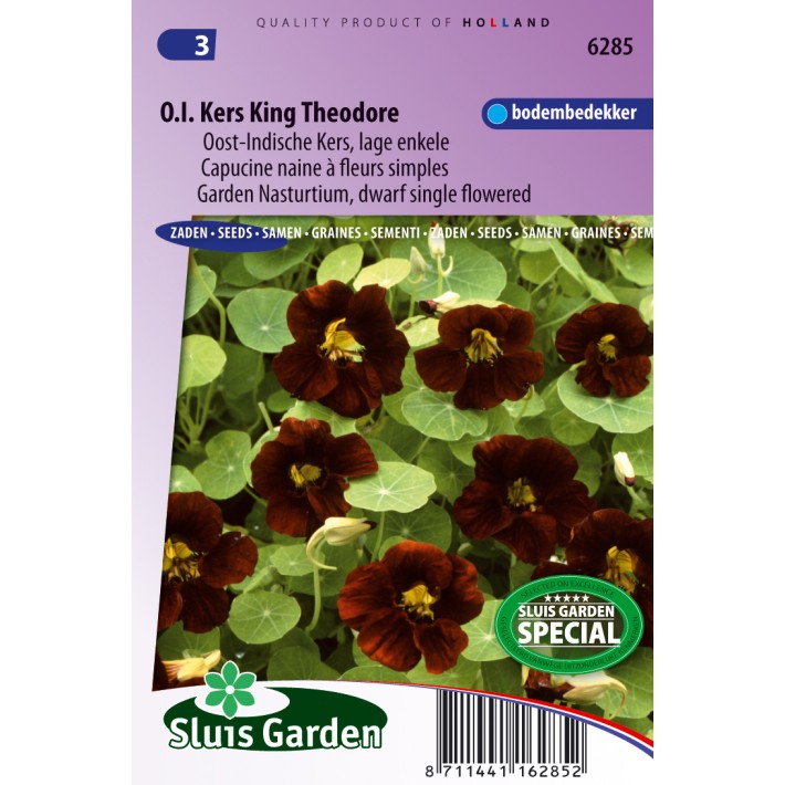 Nasturtium, Indian Cress dwarf single King Theodore (Black Velvet)