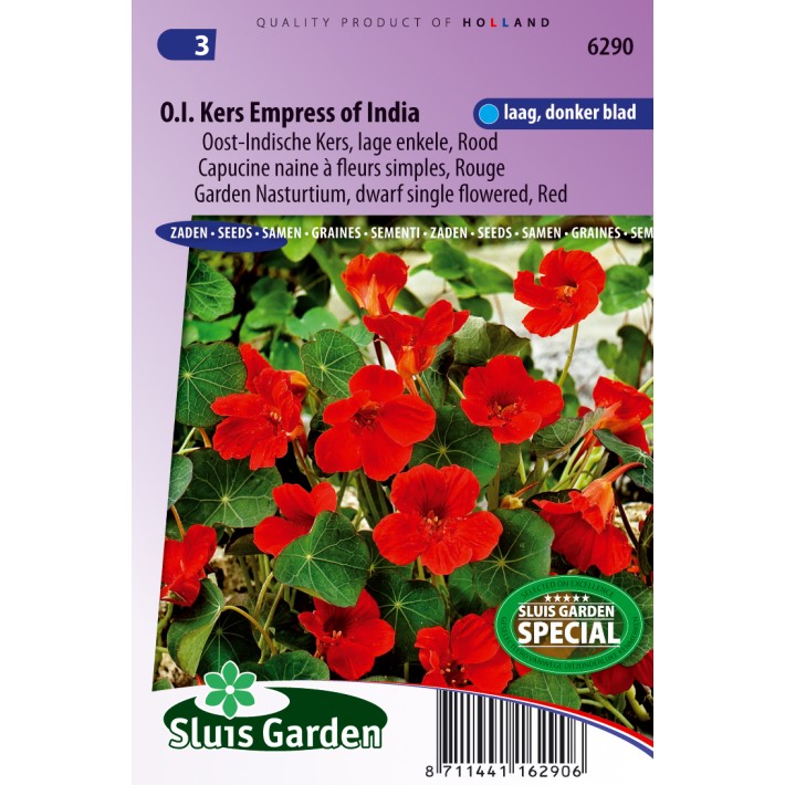 Nasturtium, Indian Cress dwarf single Empress of India red