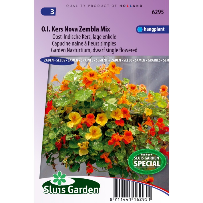 Nasturtium. Indian Cress dwarf single Nova Zembla mix