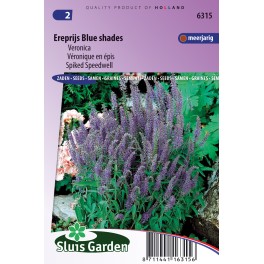 Ereprijs Blue Shades (Veronica)